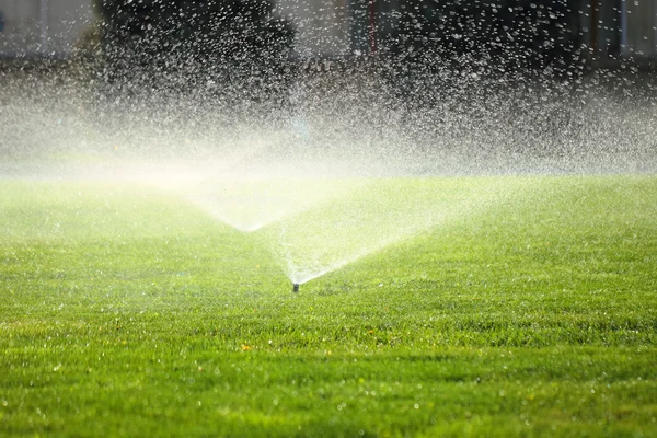 Gartensprenger auf dem grünen Rasen Stockbild