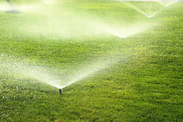 Irrigatore da giardino sul prato verde — Foto Stock