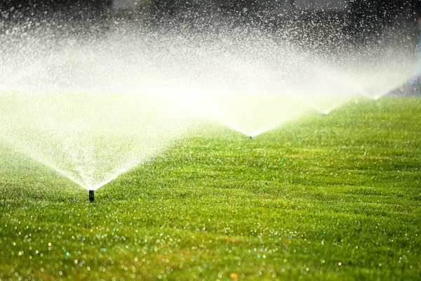 Aspersor de jardín en el césped verde — Foto de Stock