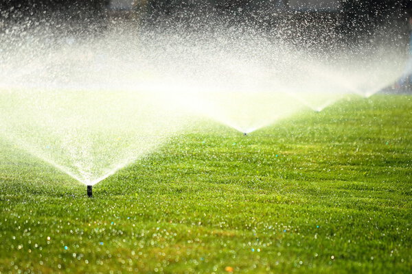 garden sprinkler on the green lawn