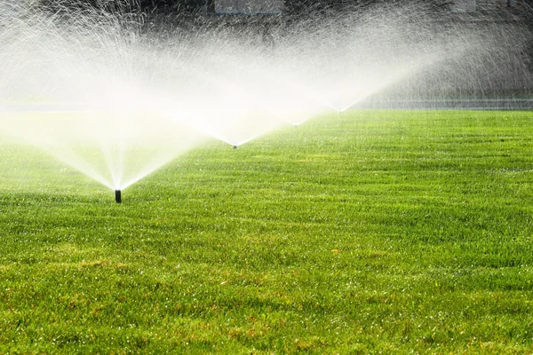 Aspersor de jardín en el césped verde — Foto de Stock