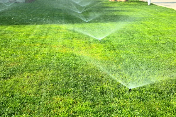 Garden sprinkler on the green lawn — Stock Photo, Image