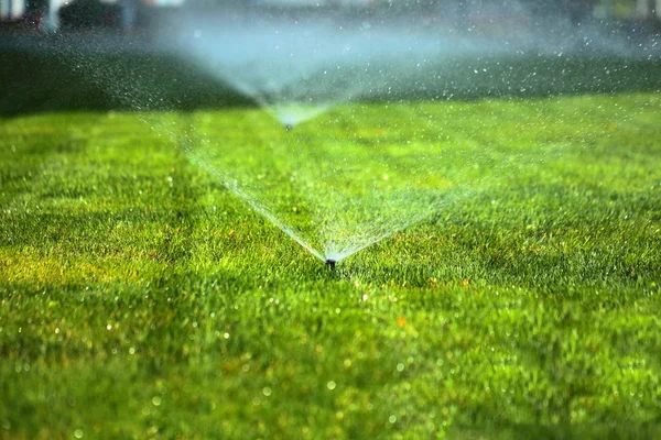 緑の芝生のガーデン スプリンクラー — ストック写真