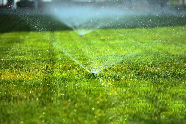 garden sprinkler on the green lawn