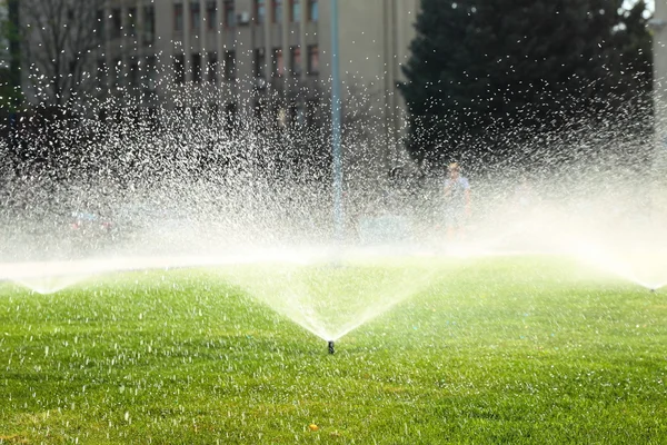 Aspersor de jardim no gramado verde — Fotografia de Stock