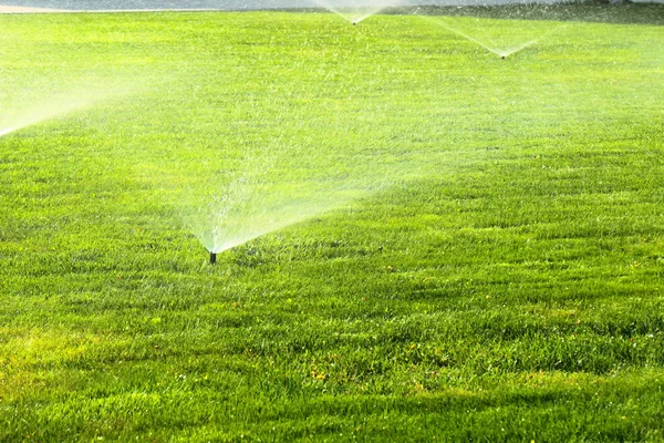 Aspersor de jardim no gramado verde — Fotografia de Stock