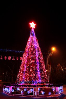 Geceleyin Noel ağacı