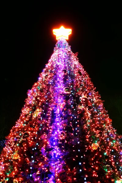 Χριστουγεννιάτικο δέντρο τη νύχτα — Φωτογραφία Αρχείου