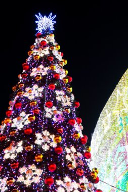 Aydınlatılmış Noel ağacı