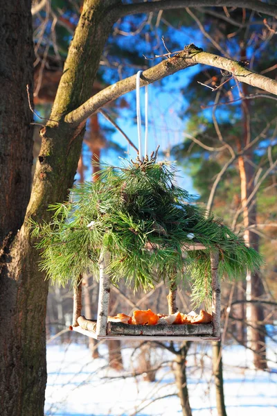 Handmade bird feeder in winter — Stock Photo, Image