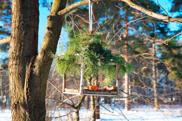 Alimentador de aves hecho a mano en invierno — Foto de Stock