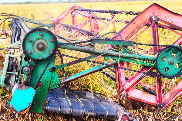 Ripe rice harvesting — Stock Photo, Image