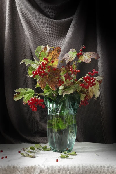 Floral still life — Zdjęcie stockowe