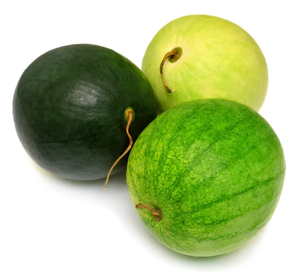 Tři melouny různých druhů — Stock fotografie