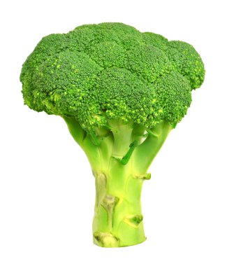 beyaz üzerine taze brokoli