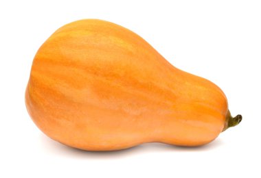 süs squash 