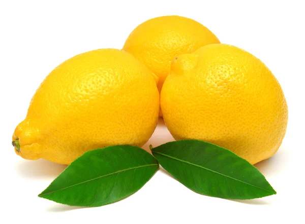 Lemons with leaves — Stock Photo, Image