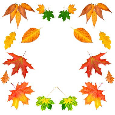 Sonbahar Yaprakları