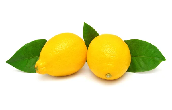 Лимон с листьями — стоковое фото