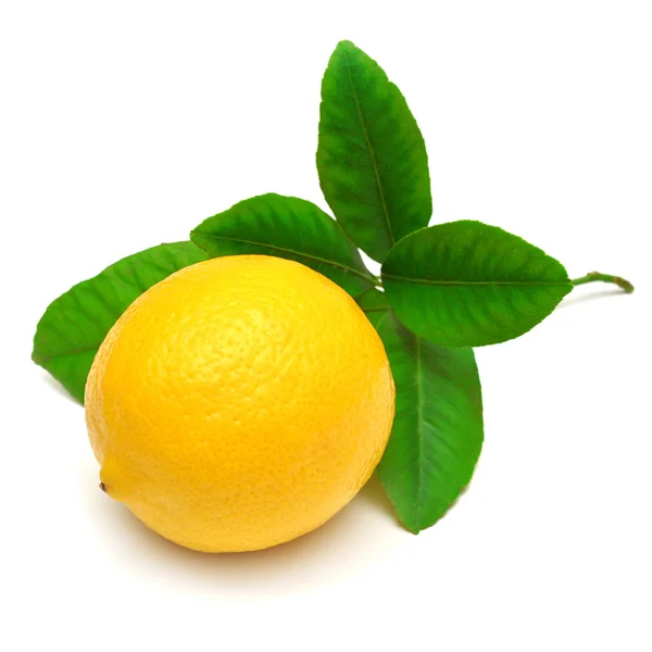 Limón con hojas —  Fotos de Stock