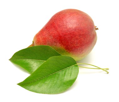Pear with leaf  clipart