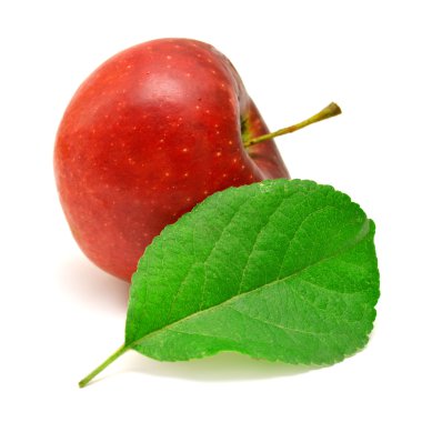 elma yaprak ile 