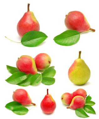 Pears with leaves clipart