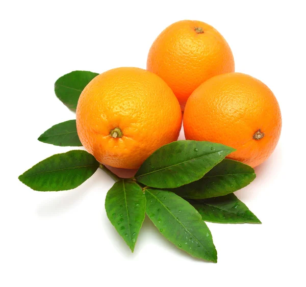Солодкий помаранчеві фрукти — стокове фото