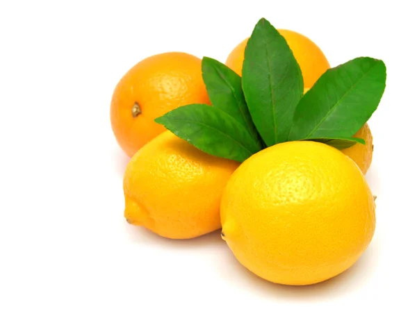 Limones y naranjas —  Fotos de Stock