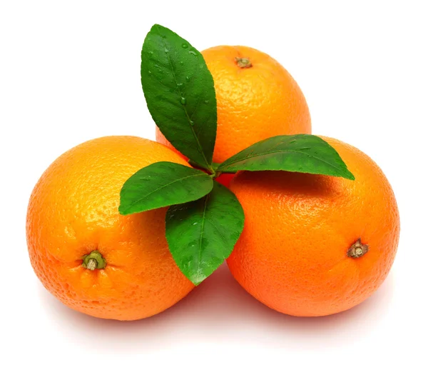 Frutas de naranja con hoja —  Fotos de Stock