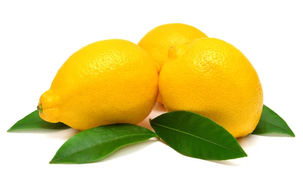 Limones con hojas — Foto de Stock