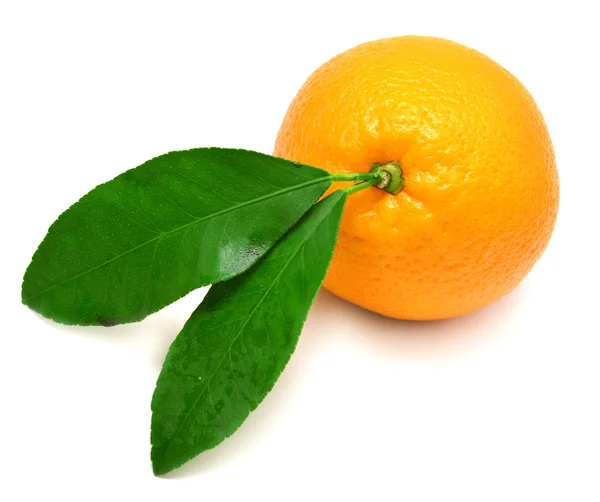 Апельсиновые фрукты с листьями — стоковое фото
