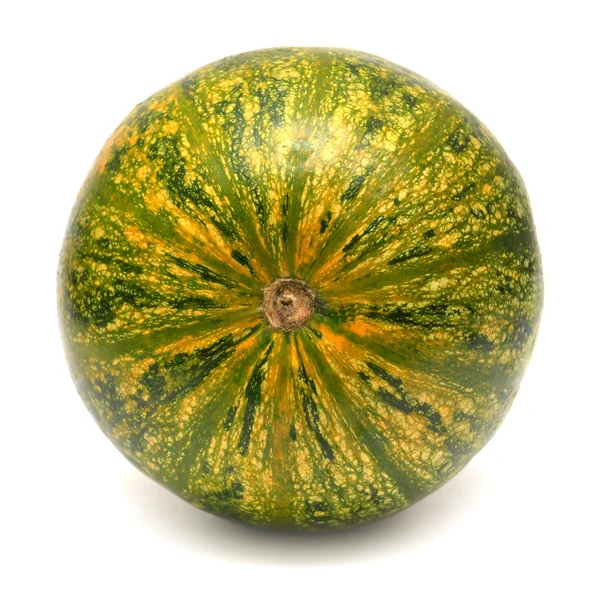 Okrasné squash — Stock fotografie