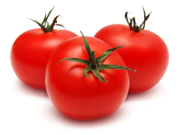 Drei Tomaten — Stockfoto