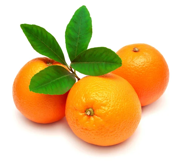 Söt orange frukter — Stockfoto