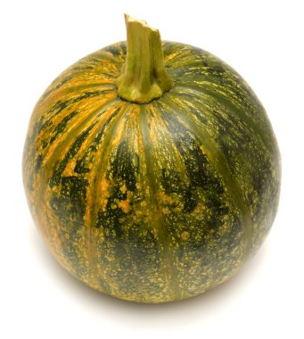 süs squash 