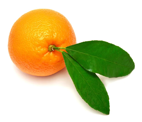 Süße Orangenfrucht mit Blatt — Stockfoto
