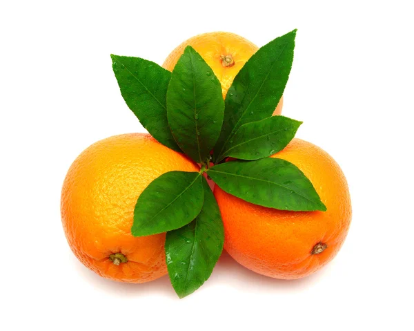 Söt orange frukt med blad — Stockfoto