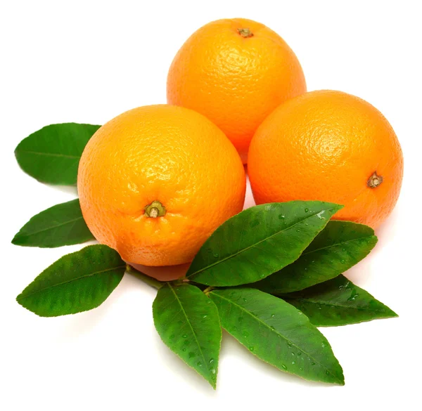 Söt orange frukt med blad — Stockfoto