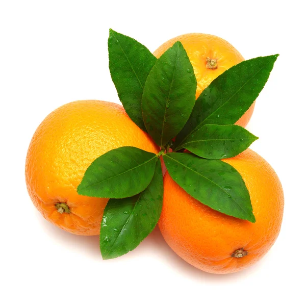 Oranje fruit met blad — Stockfoto
