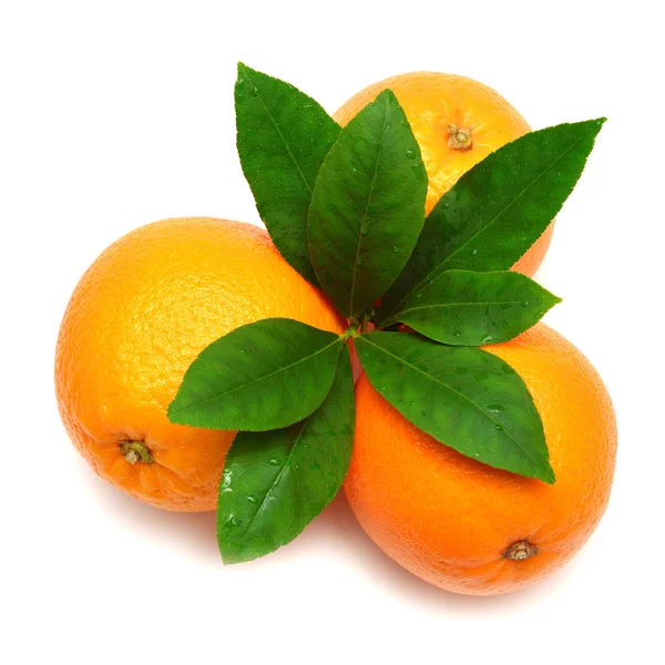 Orange frukt med blad — Stockfoto