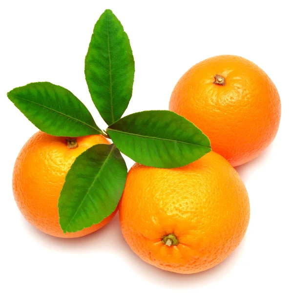 Söt orange frukt — Stockfoto