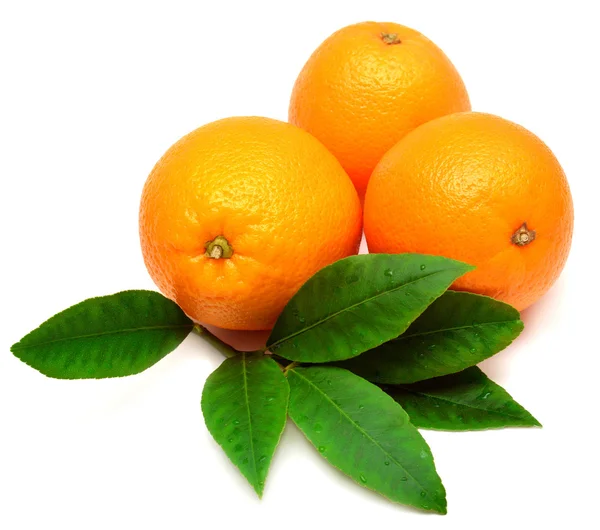 Zoete sinaasappel — Stockfoto