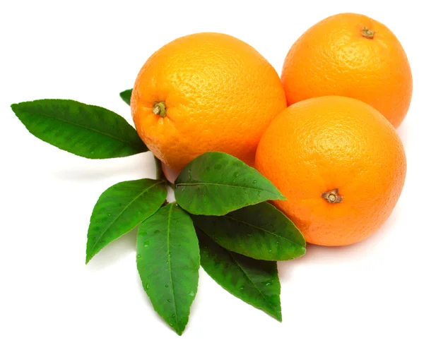 Söt orange frukter — Stockfoto