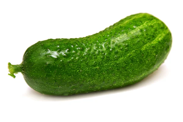 Olgun yeşil salatalık — Stok fotoğraf