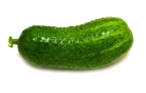 Mogen grön gurka — Stockfoto