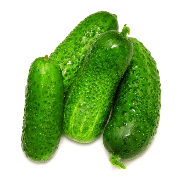 Green ripe cucumbers — Stock Photo, Image