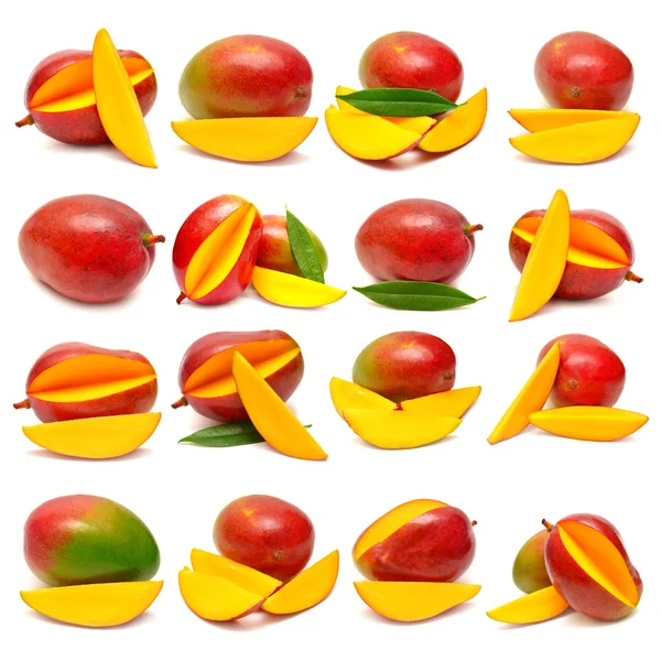Коллекция фруктов манго — стоковое фото