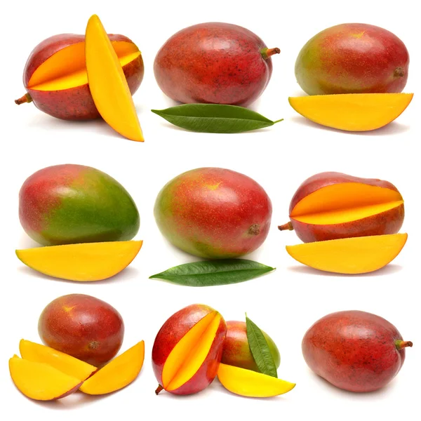 Colección de frutas de mango — Foto de Stock