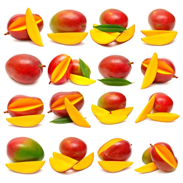 Collection of mango fruits Stock Photo